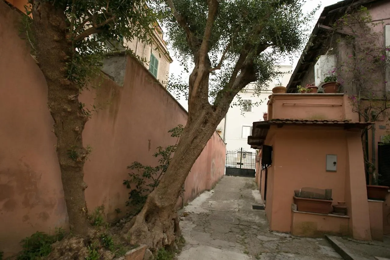 Vaticanhouse Apartment Rome